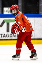 Klik for at se eller bestil foto