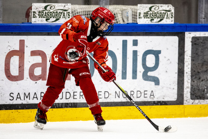 Klik for at se eller bestil foto