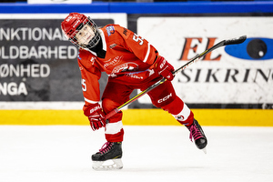 Klik for at se eller bestil foto