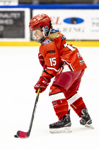 Klik for at se eller bestil foto