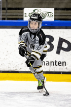 Klik for at se eller bestil foto