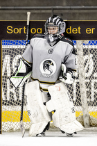 Klik for at se eller bestil foto