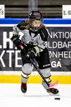 Klik for at se eller bestil foto