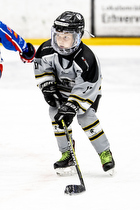 Klik for at se eller bestil foto