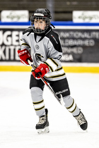 Klik for at se eller bestil foto