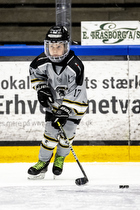 Klik for at se eller bestil foto