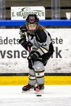 Klik for at se eller bestil foto