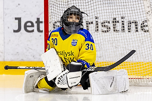 Klik for at se eller bestil foto