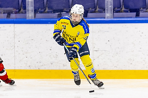 Klik for at se eller bestil foto