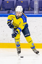 Klik for at se eller bestil foto