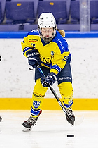 Klik for at se eller bestil foto