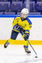 Klik for at se eller bestil foto