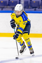 Klik for at se eller bestil foto