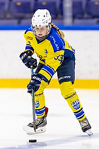 Klik for at se eller bestil foto