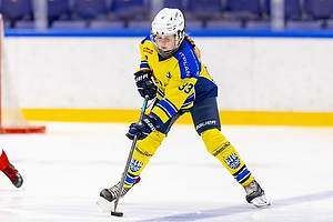 Klik for at se eller bestil foto