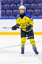 Klik for at se eller bestil foto