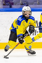 Klik for at se eller bestil foto