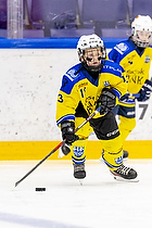 Klik for at se eller bestil foto