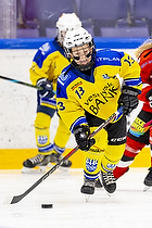 Klik for at se eller bestil foto