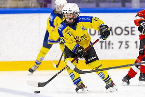 Klik for at se eller bestil foto