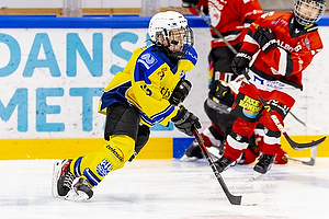 Klik for at se eller bestil foto