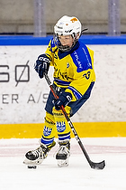 Klik for at se eller bestil foto