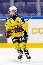 Klik for at se eller bestil foto