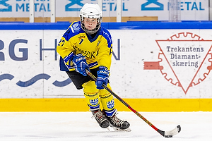 Klik for at se eller bestil foto