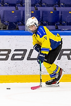 Klik for at se eller bestil foto