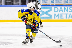 Klik for at se eller bestil foto