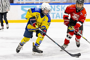 Klik for at se eller bestil foto