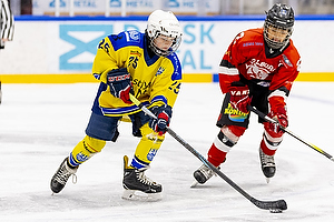 Klik for at se eller bestil foto