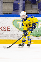 Klik for at se eller bestil foto