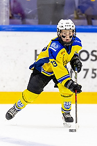 Klik for at se eller bestil foto