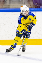 Klik for at se eller bestil foto