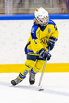 Klik for at se eller bestil foto