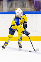 Klik for at se eller bestil foto