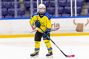 Klik for at se eller bestil foto