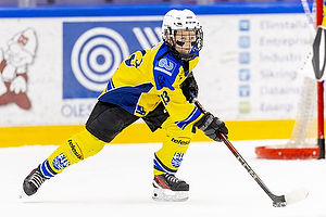 Klik for at se eller bestil foto