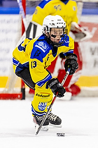 Klik for at se eller bestil foto