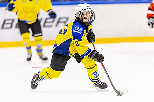 Klik for at se eller bestil foto