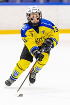 Klik for at se eller bestil foto