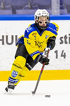 Klik for at se eller bestil foto