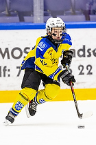 Klik for at se eller bestil foto