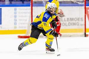 Klik for at se eller bestil foto