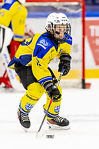 Klik for at se eller bestil foto