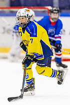 Klik for at se eller bestil foto