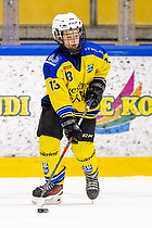 Klik for at se eller bestil foto