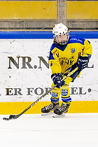 Klik for at se eller bestil foto