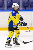 Klik for at se eller bestil foto